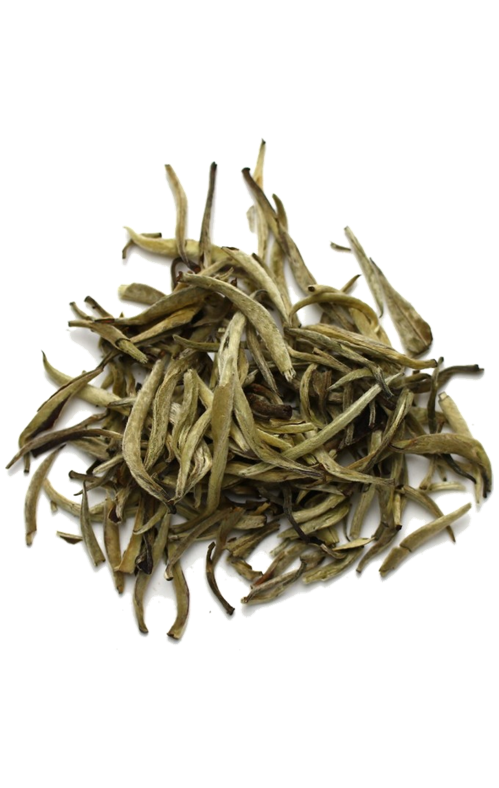 Herbata biała liściasta Silver Needle – chińska herbata premium Magnificent Coffee