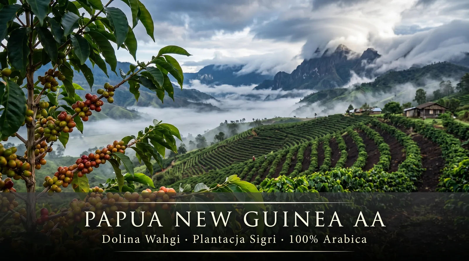 Plantacja Sigri Papua New Guinea – Dolina Wahgi, wysokogórska Arabica AA