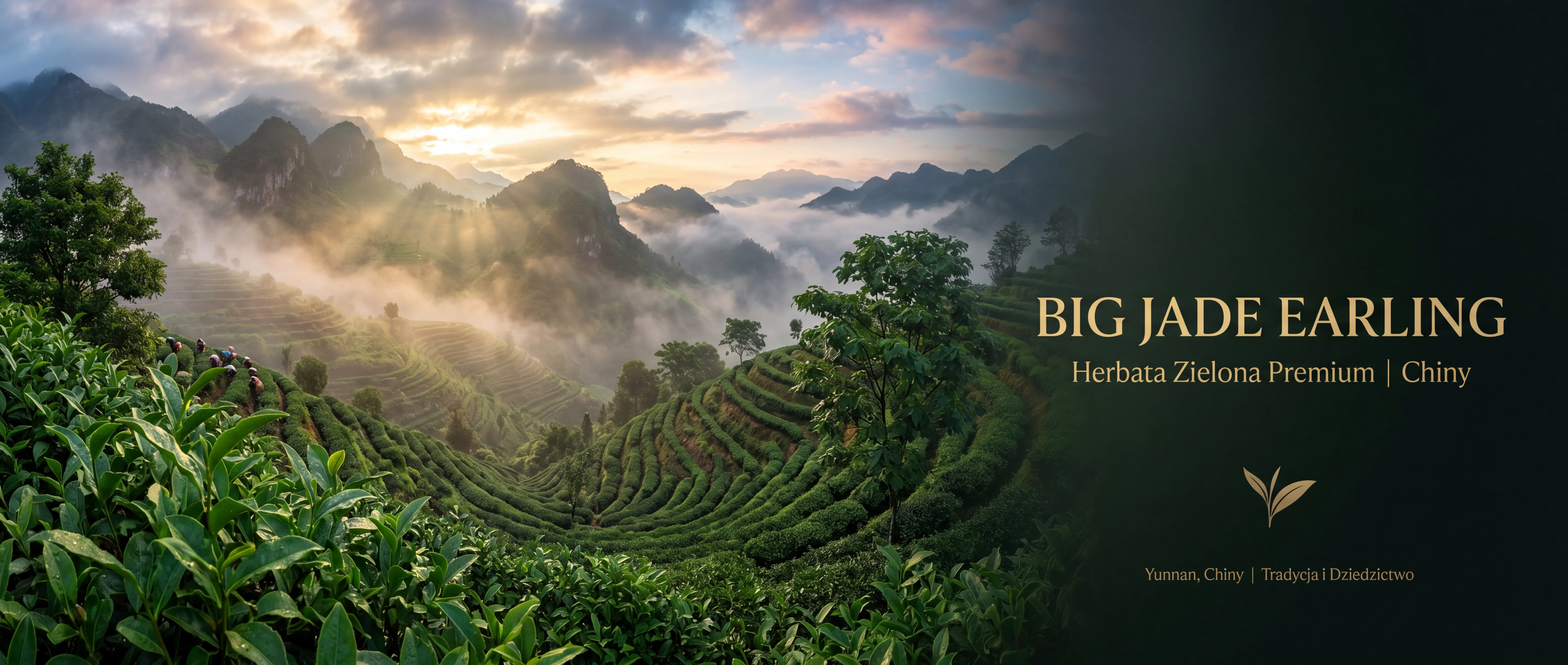 Big Jade Earling – górskie plantacje herbaty Yunnan Chiny