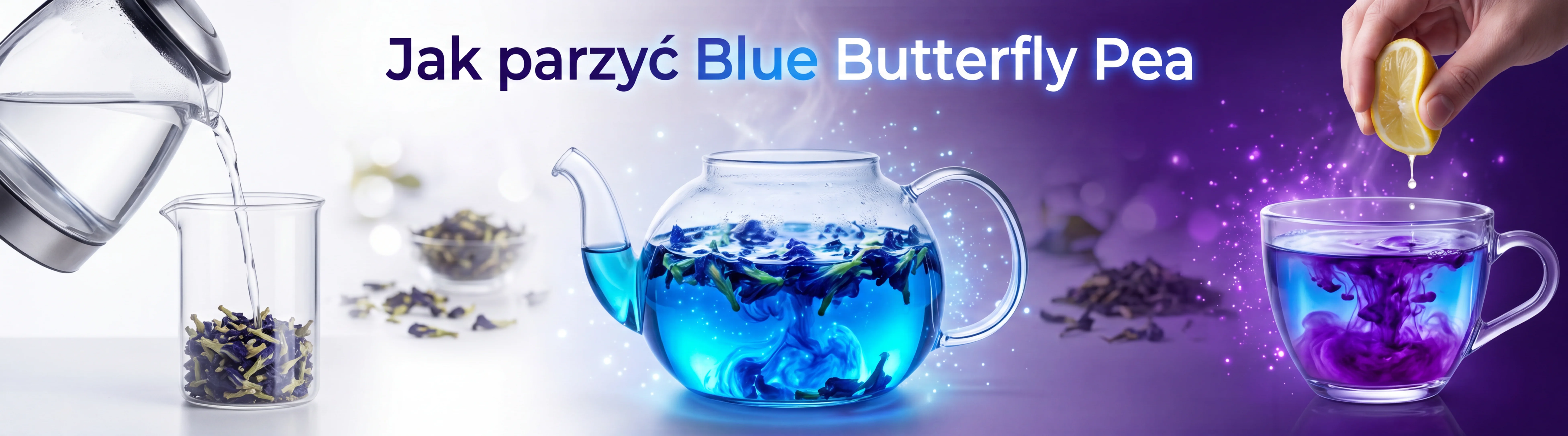 Przygotowanie Blue Butterfly Pea Matcha Powder – jak przygotować niebieski matcha